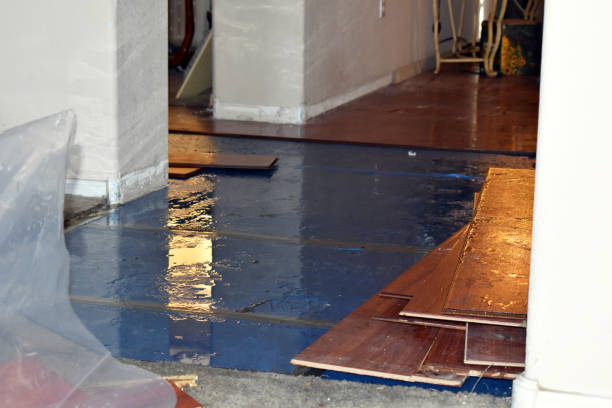 Professional Water Damage Restoration technician working in Lyman, WA